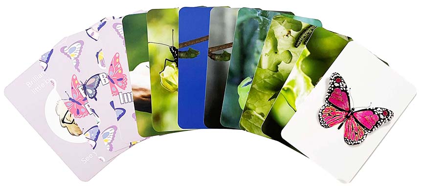 Smart Dreams - Butterfly pajamas and cards