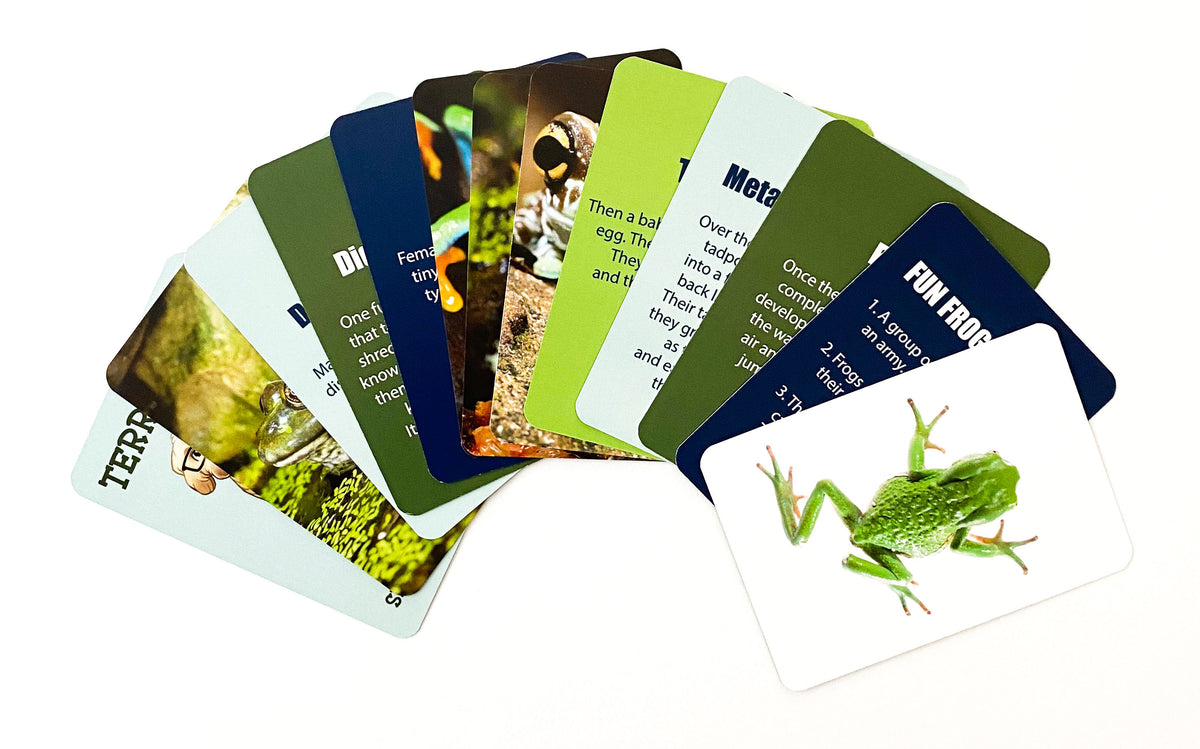 Smart Dreams - Life Cycle of a Frog pajamas and cards
