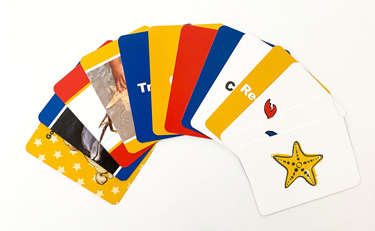 Smart Dreams - Primary pajamas and cards