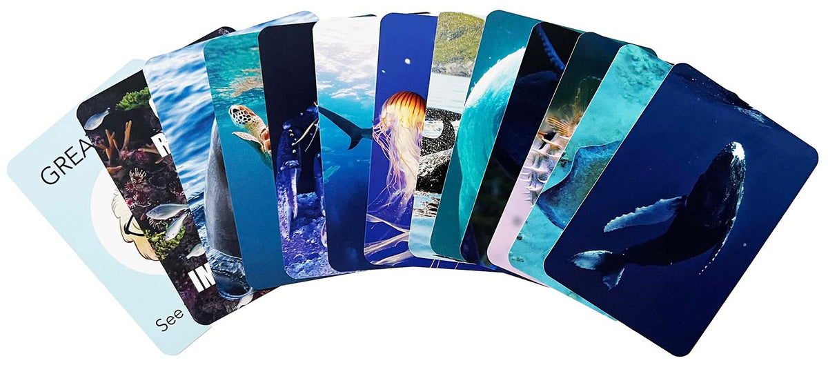 Smart Dreams - Sea Life pajamas and cards